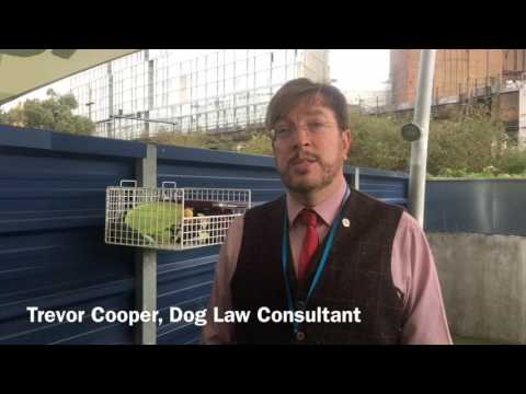 Important insights on the Animal Act of 2006