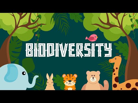 Understanding the Biodiversity Act 10 of 2004: A Comprehensive Overview