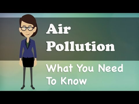 Understanding the Air Pollution and Control of Pollution Act: Everything You Need to Know