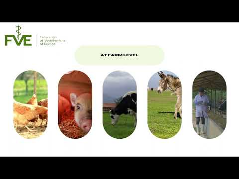 Understanding EU Animal Welfare Laws: Key Regulations and Requirements