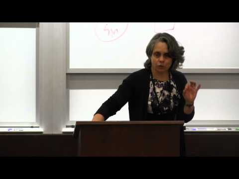 The Impact of Court Reform on the Legal System