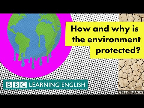 Key Legislation for Environmental Protection Explained