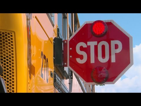 2020 Bus Safety Regulations: Everything You Need to Know