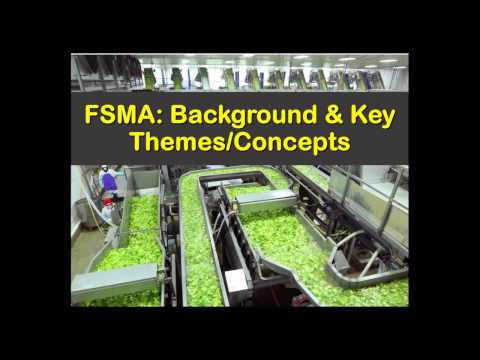 Everything You Need to Know About The fsma Act 2000