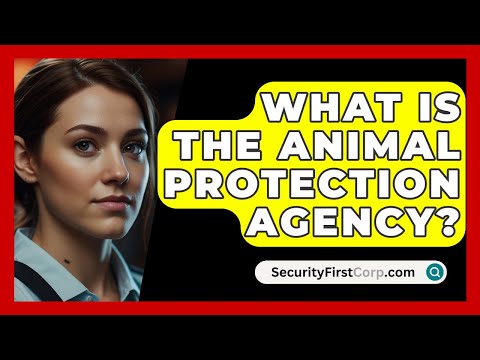 Understanding Animal Protection Legislation: Key Points and Insights