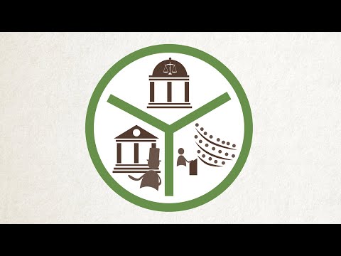 Understanding the Meaning of Separation of Powers in Government