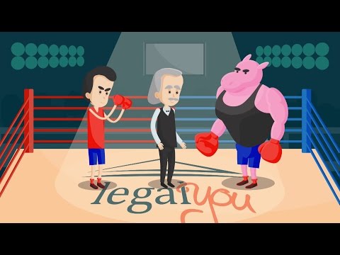 Understanding Court Summary Judgement: An Insightful Overview
