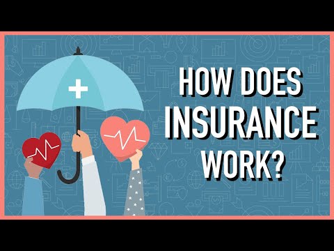 The Ultimate Insurance Regulation Act Overview: Everything You Need to Know