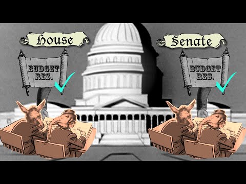 The Impact of Immigration Policies in the Budget Reconciliation Bill