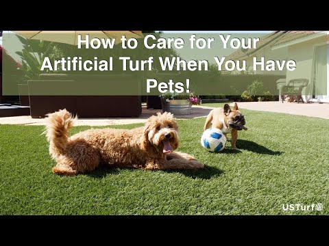 Ultimate Tips for Maintaining Your Artificial Grass Tennis Court