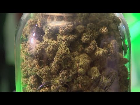 Understanding Cannabis Regulation Legislation: Key Information and Updates