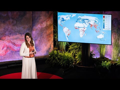 The Impact of Green Energy Legislation on the Environment and Economy