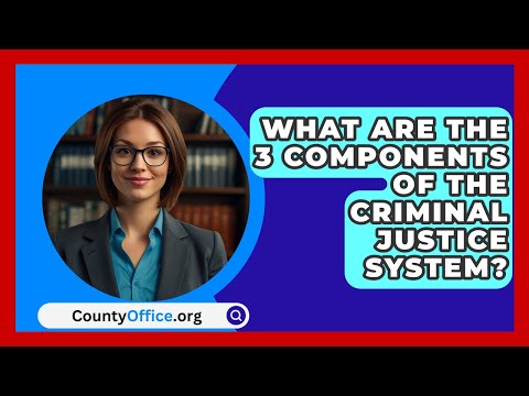 Role of a Court Services Officer in the Justice System