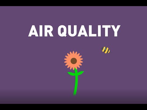 The Impact of Air Pollution and Measures for Prevention