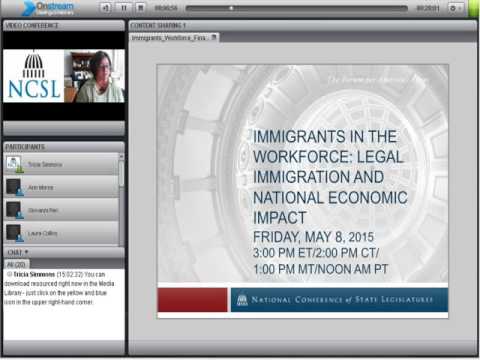 The Impact of High-Skilled Immigration Bills on the Workforce