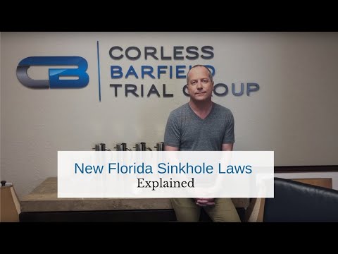 Sinkhole Statute FL: Everything You Need to Know