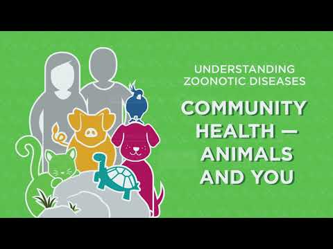 Understanding Animal Health Act 7 of 2002: Key Regulations and Compliance Requirements