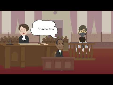 Understanding the Basics of Court Position: A Comprehensive Overview