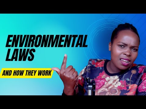 Understanding Environmental Agency Legislation: Key Laws and Regulations to Know