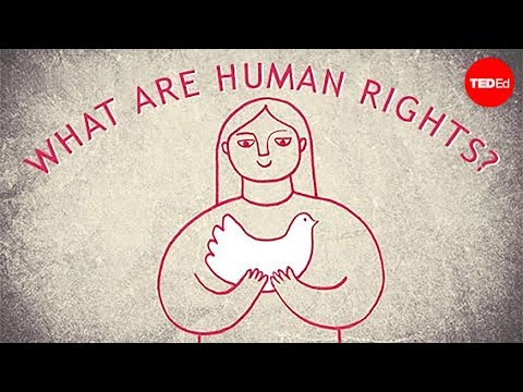 Understanding Human Rights Legislation: Key Points and Implications