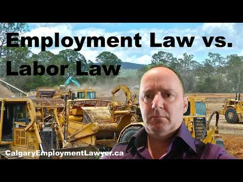 Key Updates: Employment and Labour Law in 2020