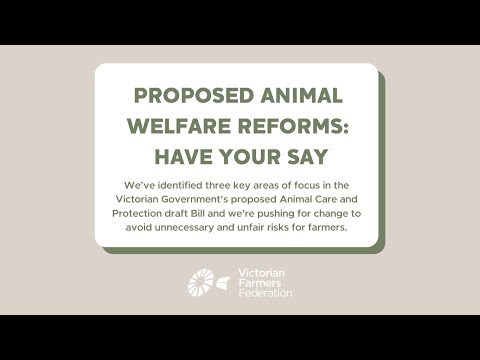 Understanding the Animal Care and Protection Act: Key Points to Know