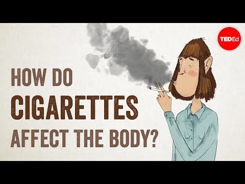 The Impact of the Health Act 2006 on Smoking: A Comprehensive Overview
