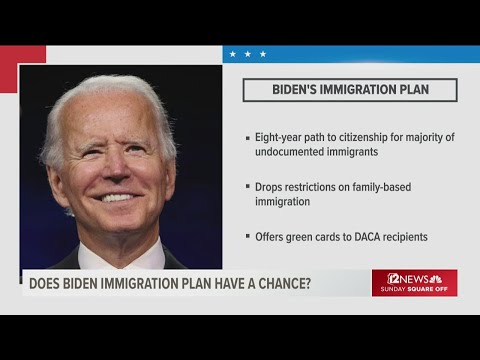 Comprehensive Analysis of the 2021 Senate Immigration Reform Bill
