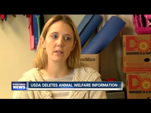 Understanding USDA Animal Welfare Act Regulations: Key Guidelines and Compliance Measures