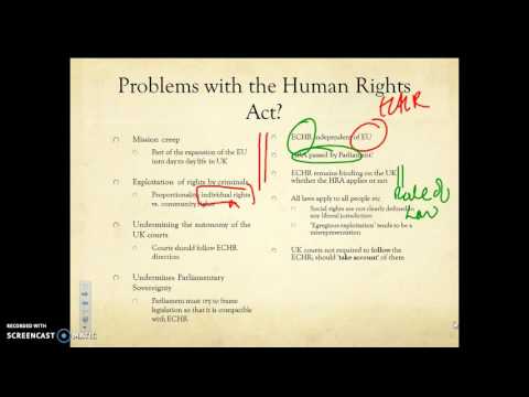 Understanding the Human Rights Act 1989: A Comprehensive Overview for Professionals