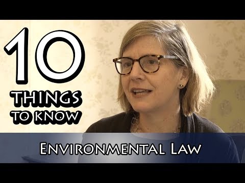 Key Details on Environmental Policy Legislation: What You Need to Know