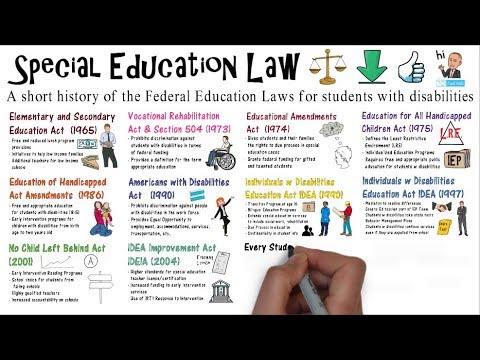 Key Education Laws Every Professional Should Know