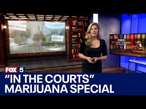Navigating the Court Initiative Process: Everything You Need to Know