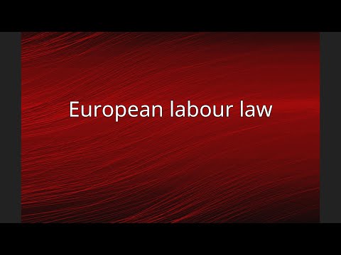 Key Points of EU Labour Law: Everything You Need to Know