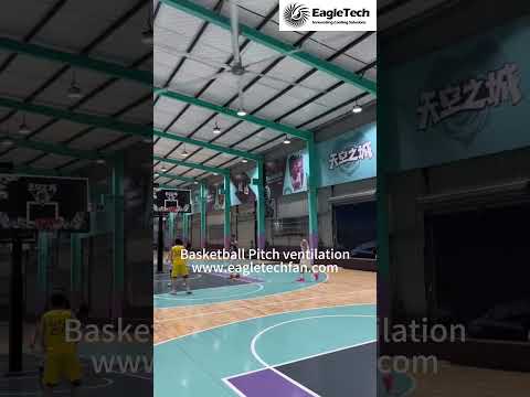 Optimizing Your Experience in the Court Environment