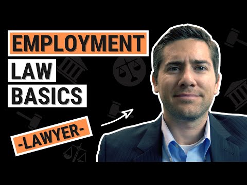 Understanding Local Labor Laws for Compliance and Employee Rights