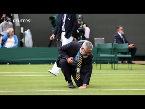Optimizing Grass Court Maintenance at Wimbledon: Essential Tips and Techniques