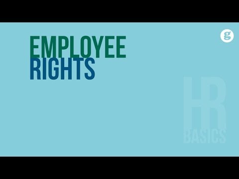 Understanding Employer Rights Under Labour Law: Essential Information for Businesses