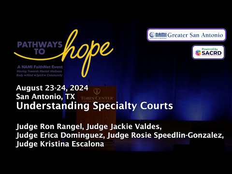 Understanding the Role of Specialty Courts in the Legal System