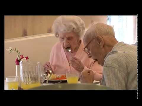 Understanding the Food Safety Act 1990 in Care Homes: A Comprehensive Overview