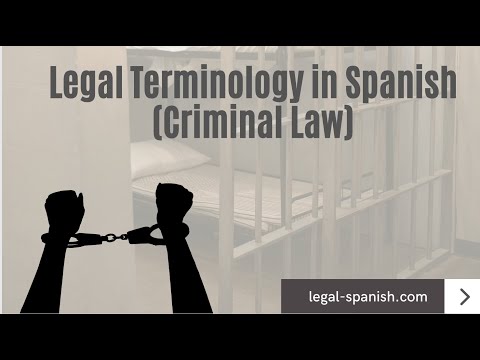 Qualified Court Spanish Translator for Legal Proceedings