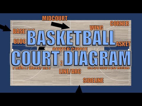 Understanding the Dimensions of a Court