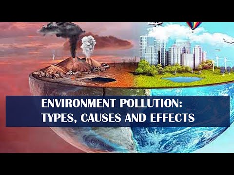 Environmental Pollution: Global Issues and Legislation - A Comprehensive Overview