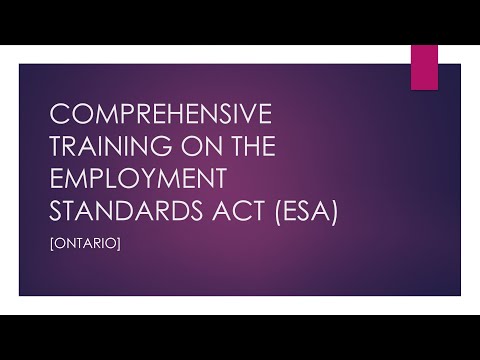 Understanding the Employment Standards Act 2000: A Comprehensive Overview