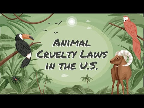 Understanding the Animal Protection Act: Key Points and Implications