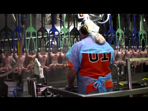 Understanding Meat Safety Act Poultry Regulations: A Comprehensive Overview