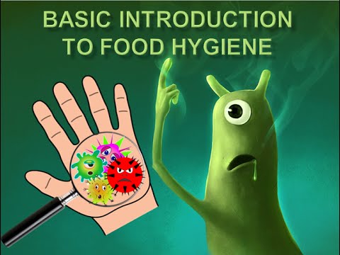 Understanding Hygiene Regulations: What You Need to Know