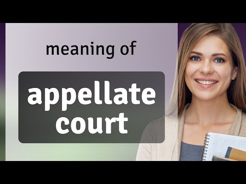 Understanding Appellate Court Cases: Key Information and Insights