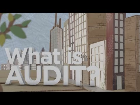 Understanding the Purpose of a Court Audit