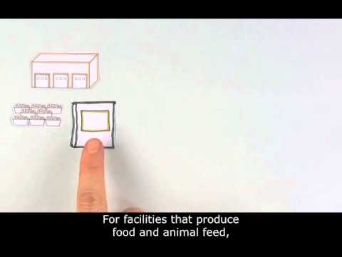 Understanding Current Food Safety Legislation: What You Need to Know